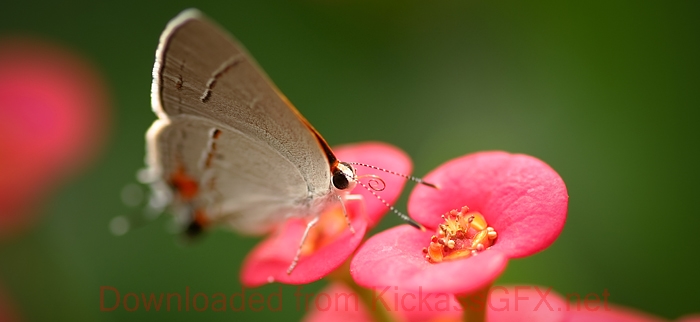 网站攻击工具手机版